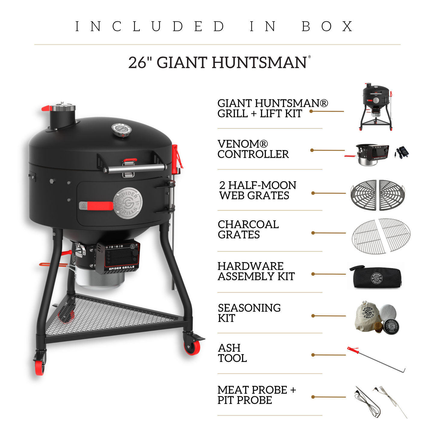 Giant Huntsman®