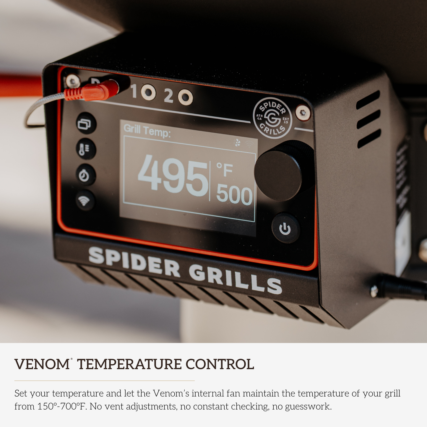 Giant Huntsman®
